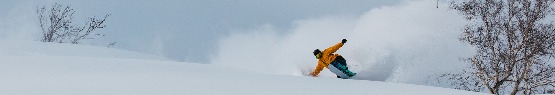 Snowboard Touring