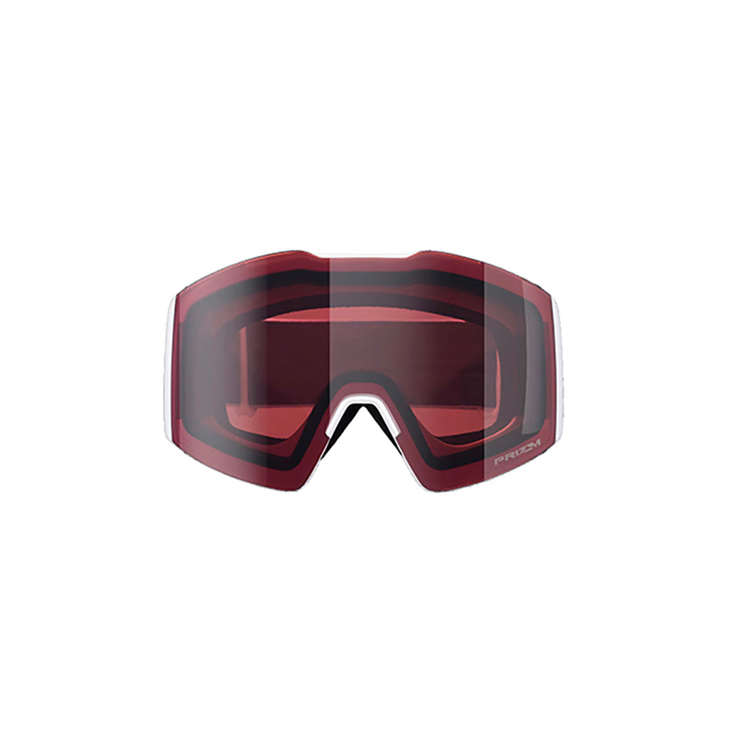 Fall Line L - Goggle