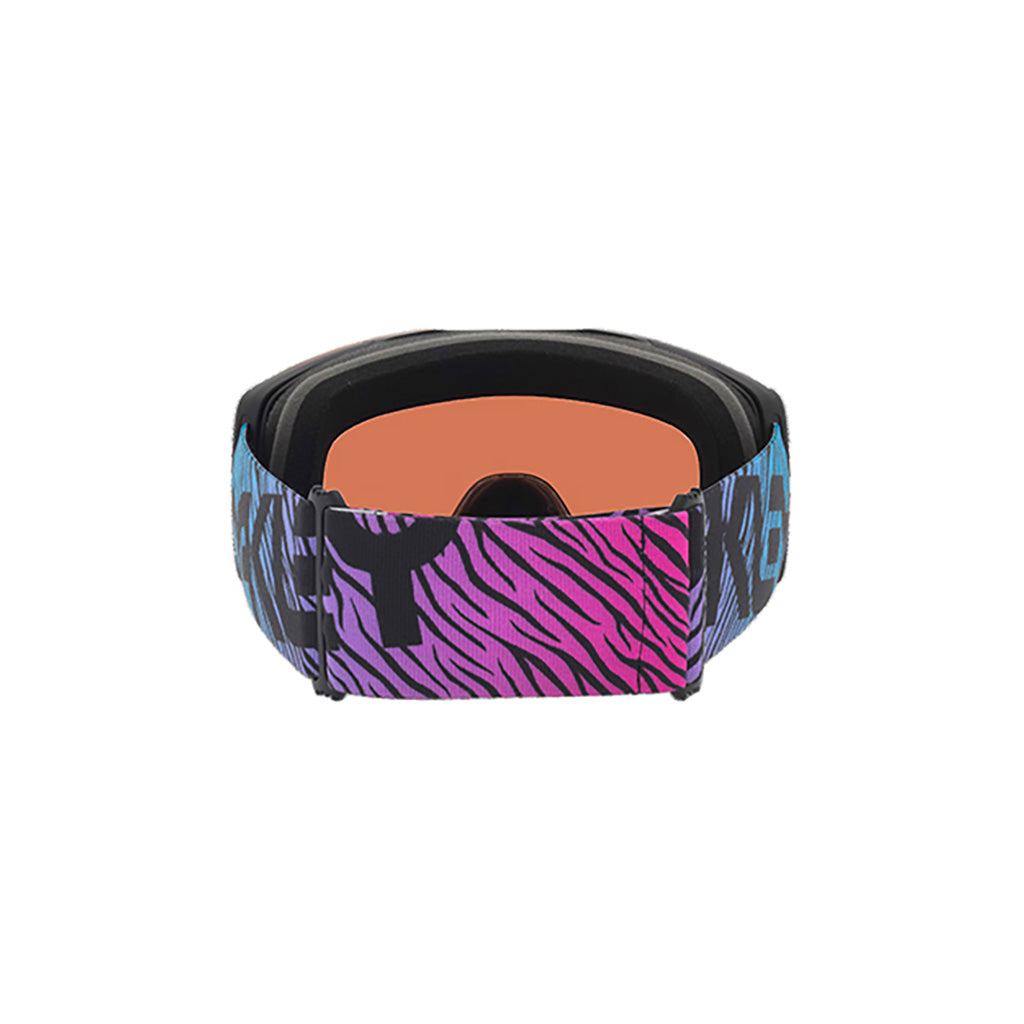 Fall Line L - Goggle