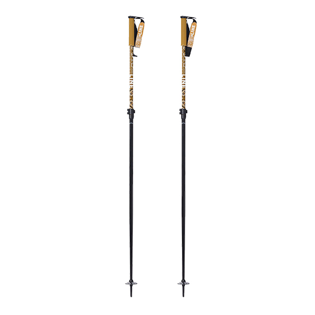 Paintbrush - Ski Poles