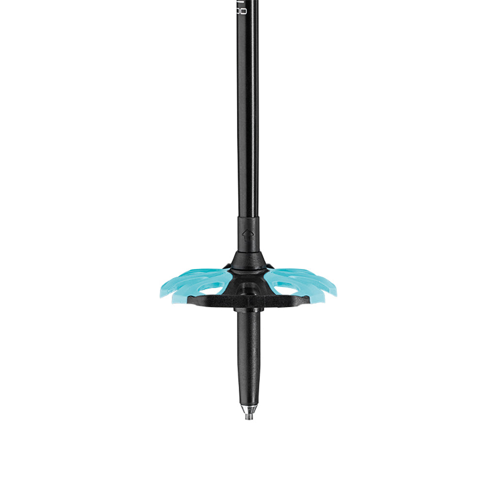 Bernina Lite 3 - Ski Poles