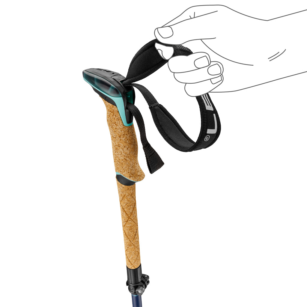 Bernina FX Carbon - Ski Poles
