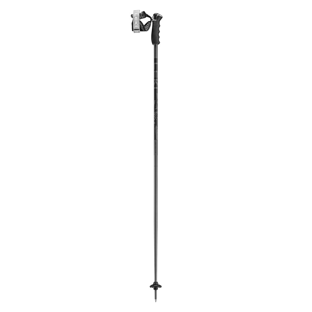 Detect S - Ski Poles