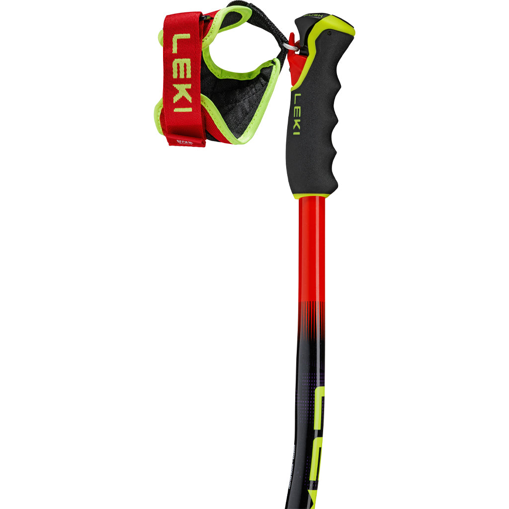 WCR SG/DH TR - Ski Poles