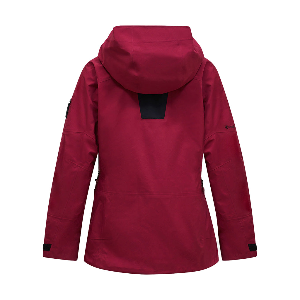 Alpine Gore-Tex 3L - Ski Jacket