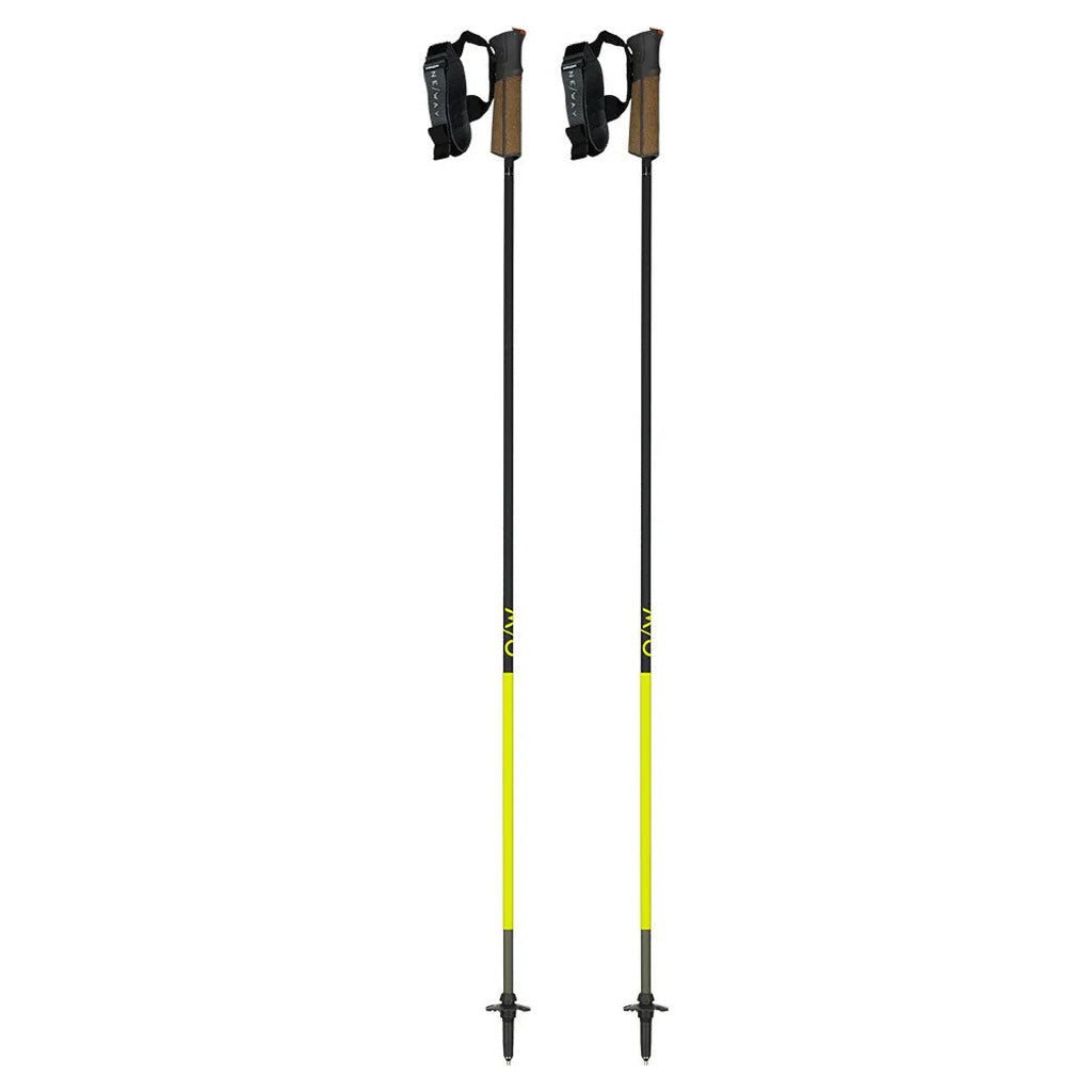 GT 11 Carbon - Ski Poles