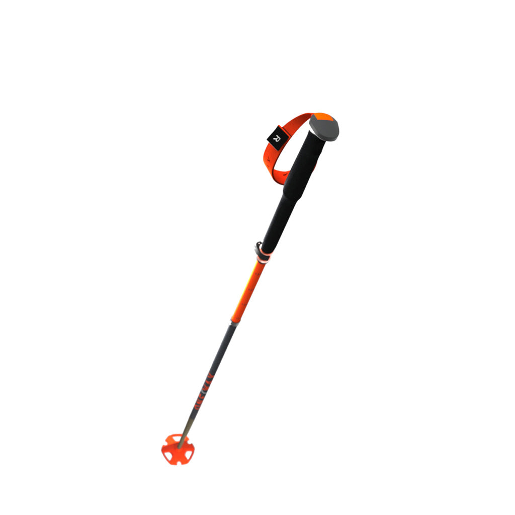 TR Carbon Vario X - Ski Poles