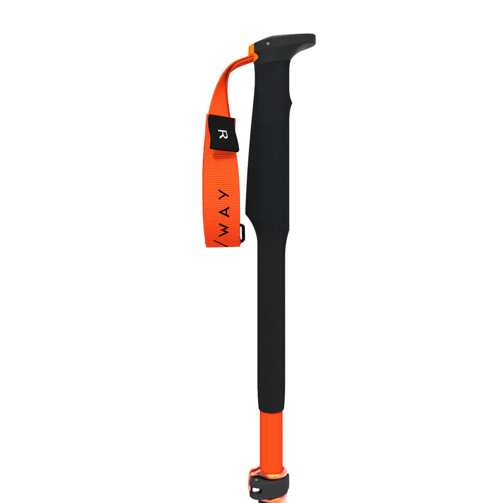 TR Carbon Vario X - Ski Poles