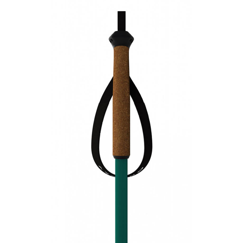 Bc Mountain - Ski Poles