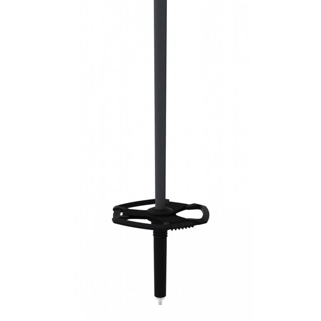 Bc Mountain - Ski Poles