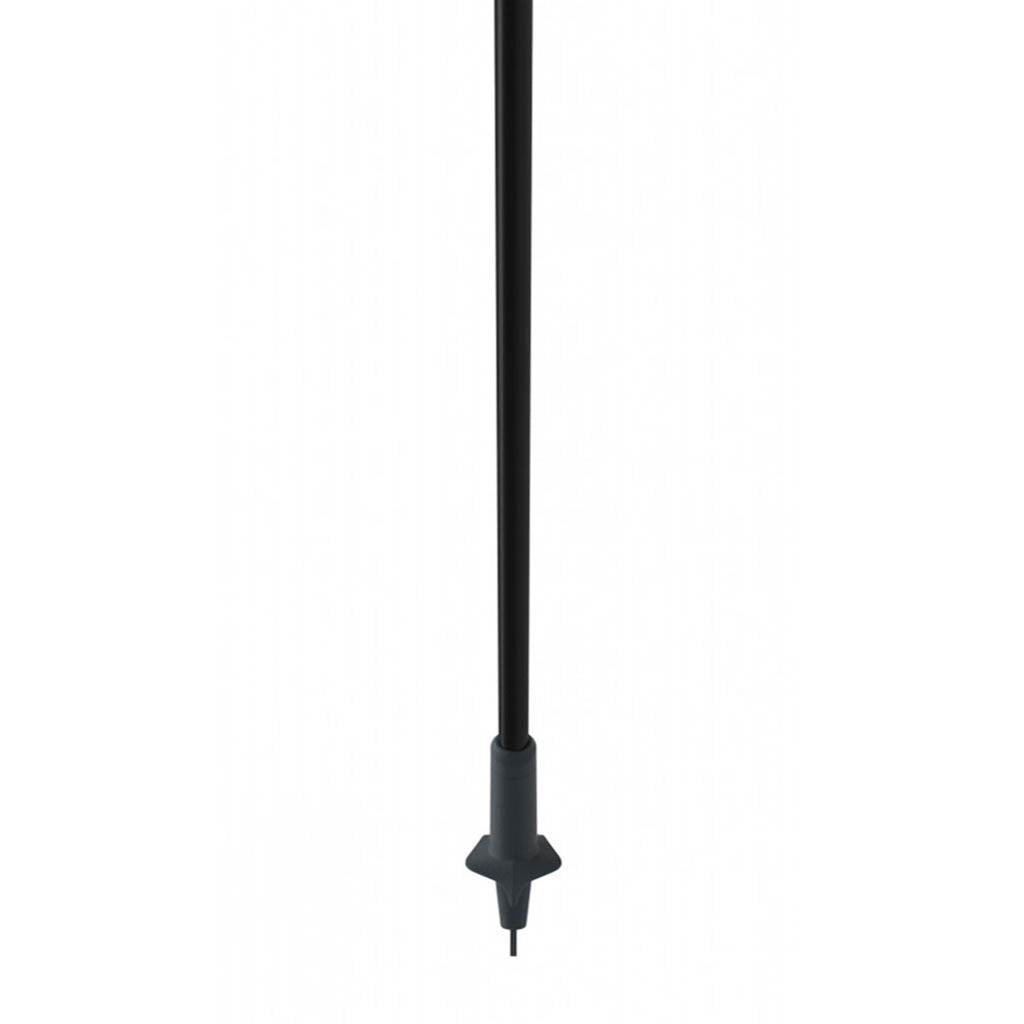 Storm 2 Street Kit 100% Carbon - Ski Poles