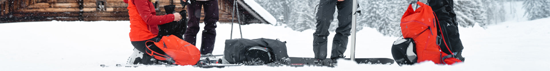 Ski bags