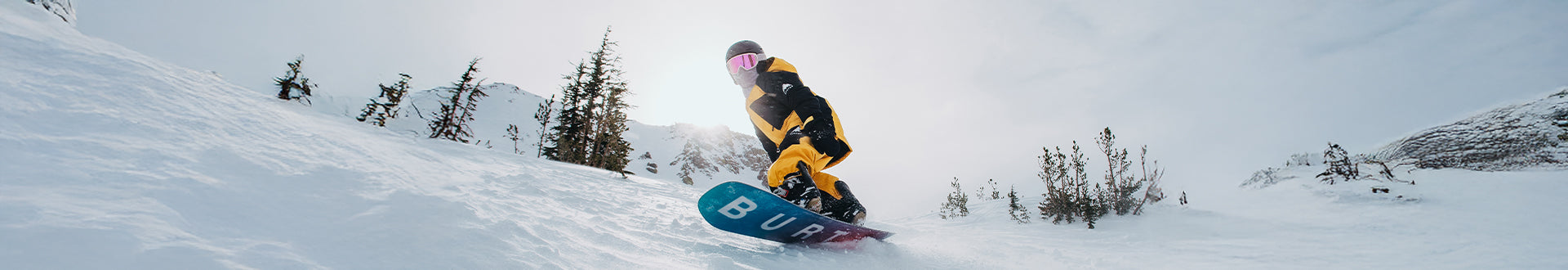 Snowboards
