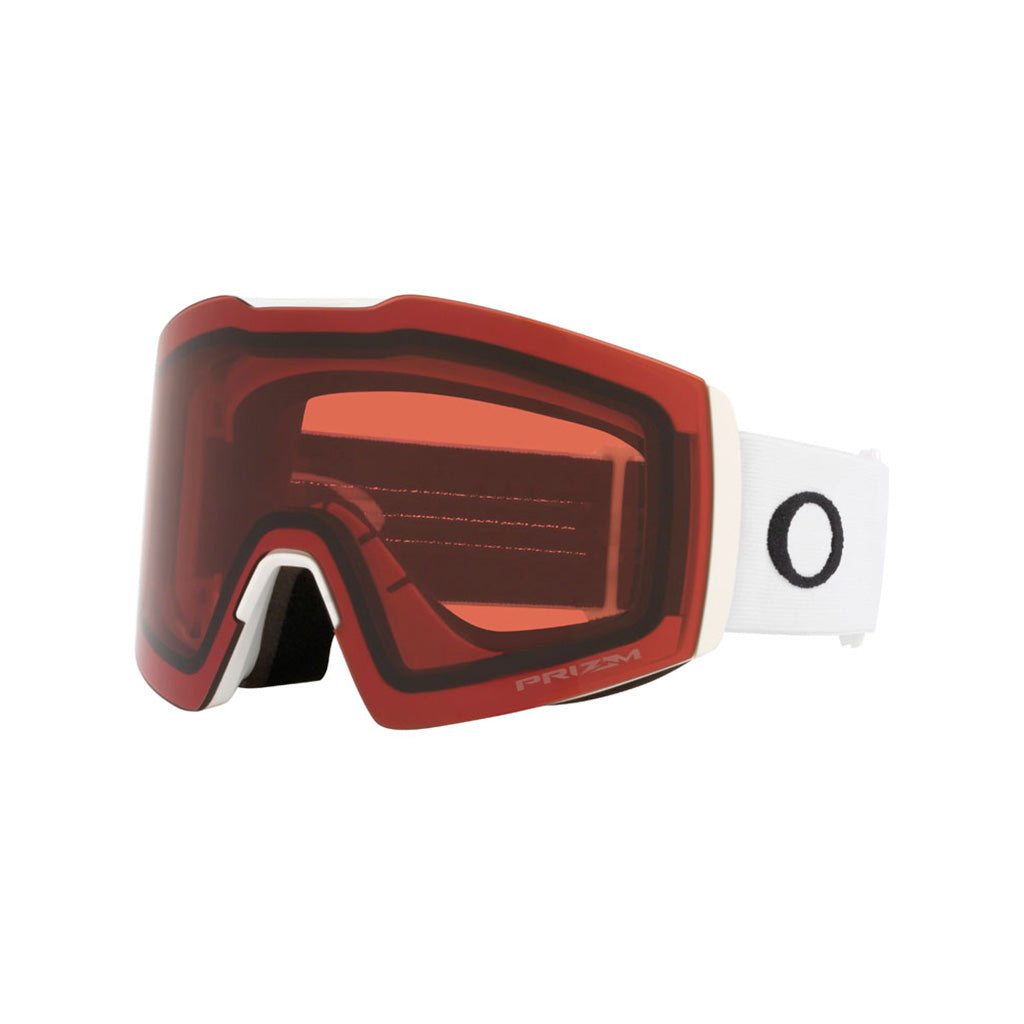 Fall Line L - Goggle
