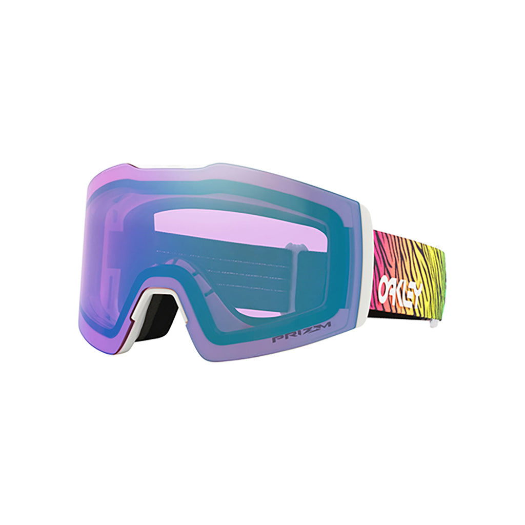 Fall Line M - Goggle