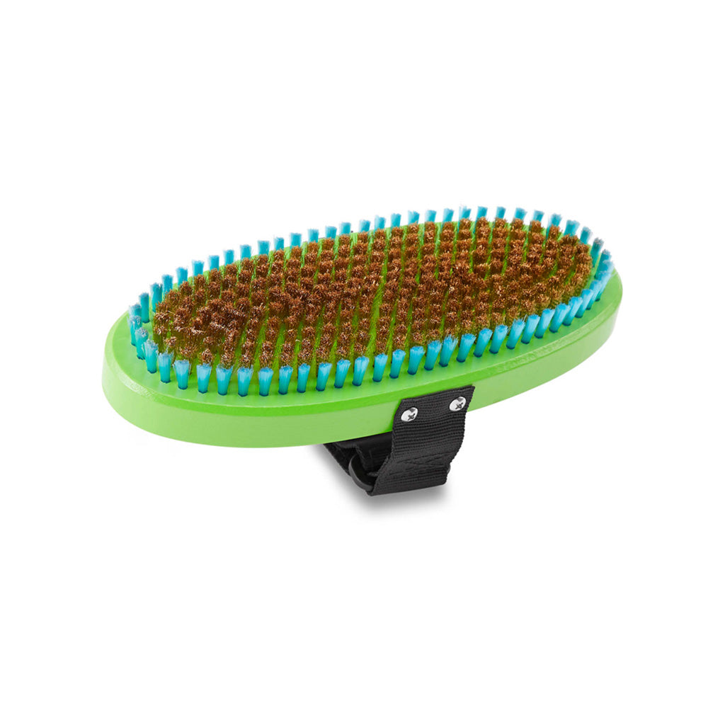 Premium Oval Brass Brush - Snow Maintenance