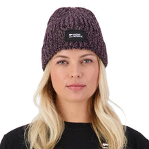 Triple Treat Merino Beanie - Cinder/Fig/Black