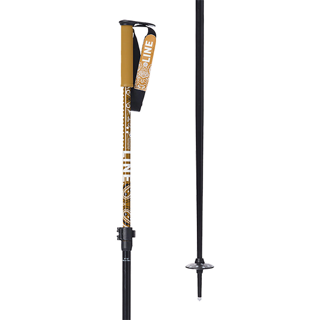 Paintbrush - Ski Poles