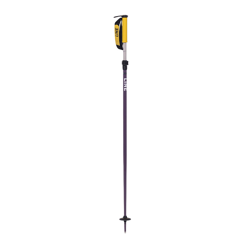 Paintbrush 25/26 - Ski Poles