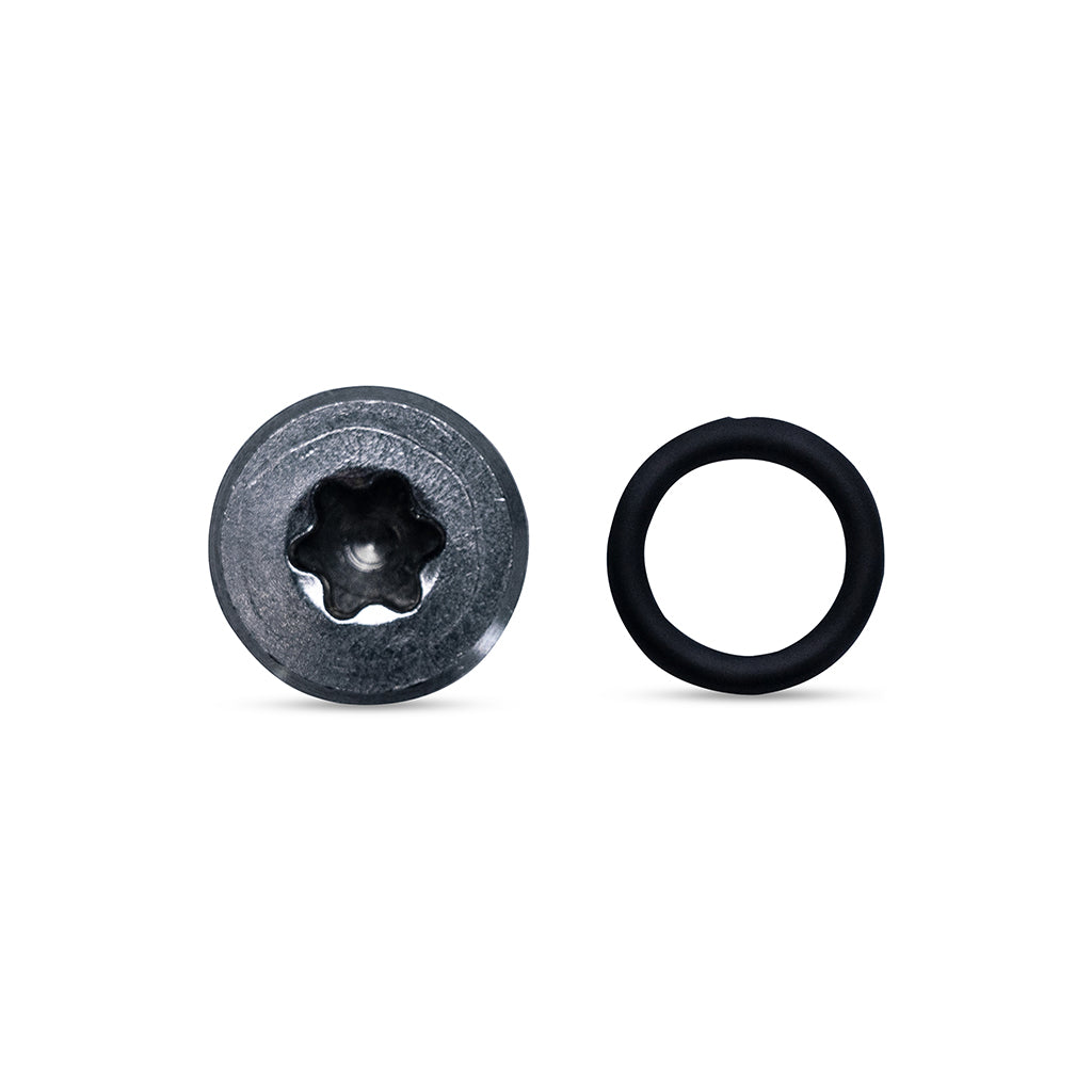 Air Valve Screw T30 Incl. O