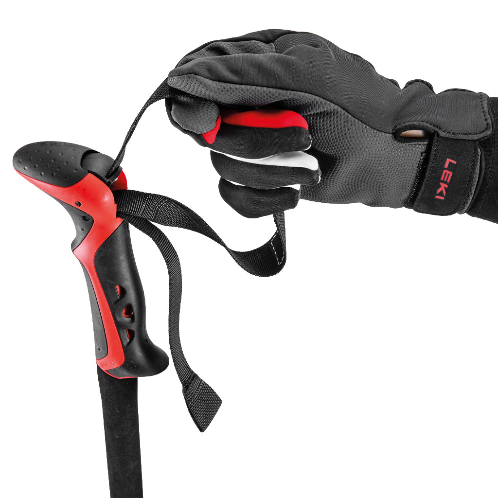 Haute Route 3 - Ski Poles