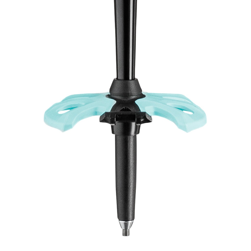 Bernina FX Carbon - Ski Poles