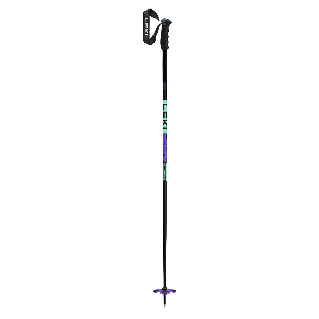 Pitch Back - Ski Poles