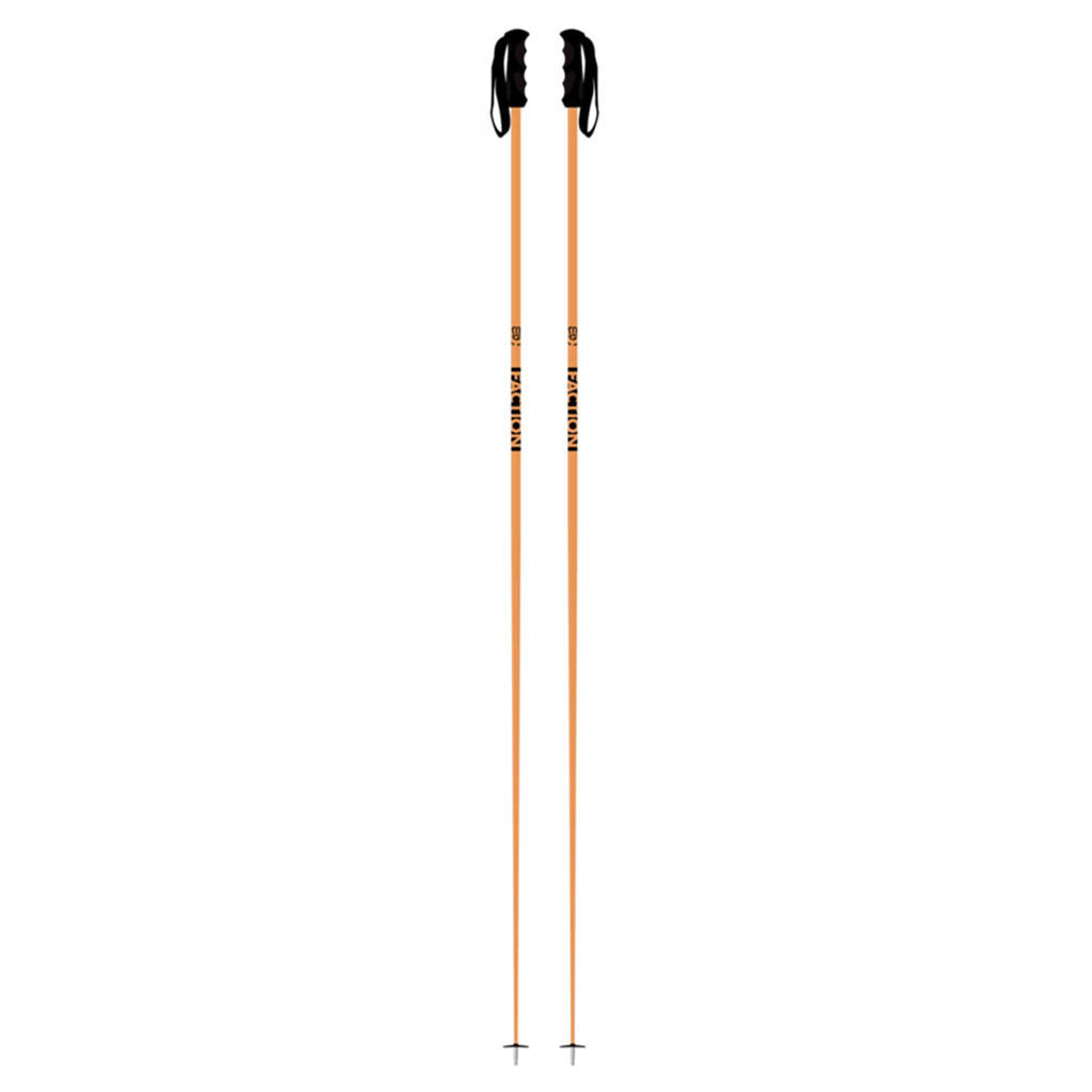 Prodigy Poles - Ski Poles