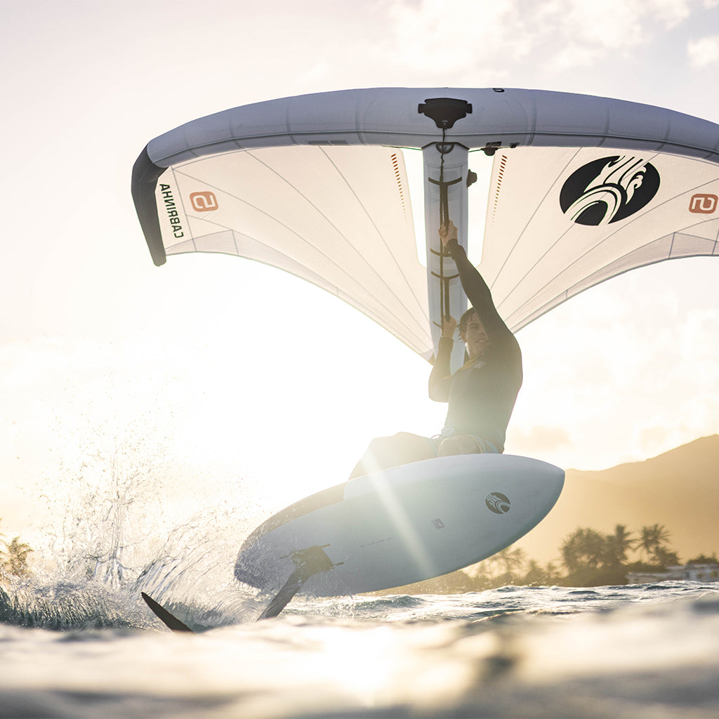 Aer 2 C1 2026 - Kite