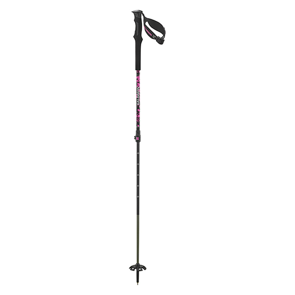 Poles Qst Carbon S3 - Ski Poles