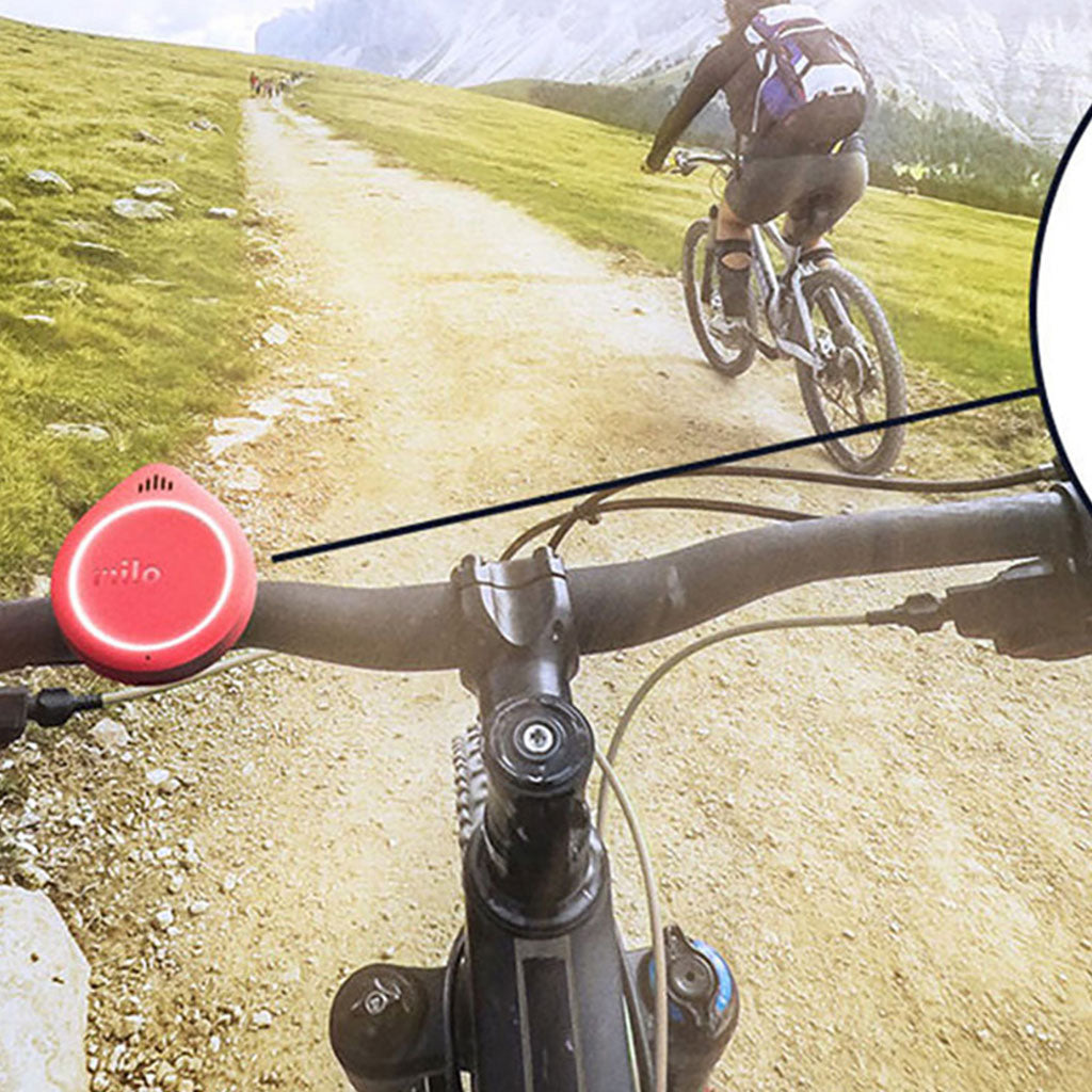 Bike Clip - Misc