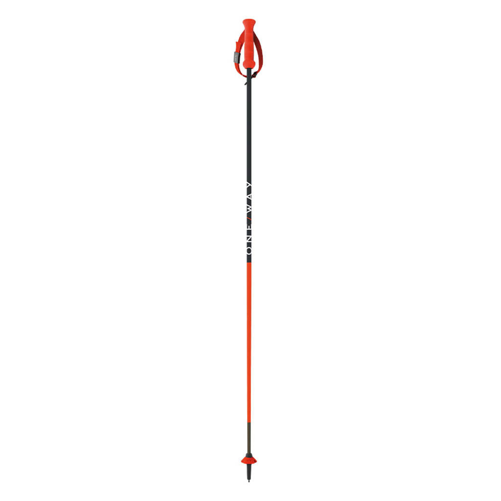 Rd 13 Carbon - Ski Poles