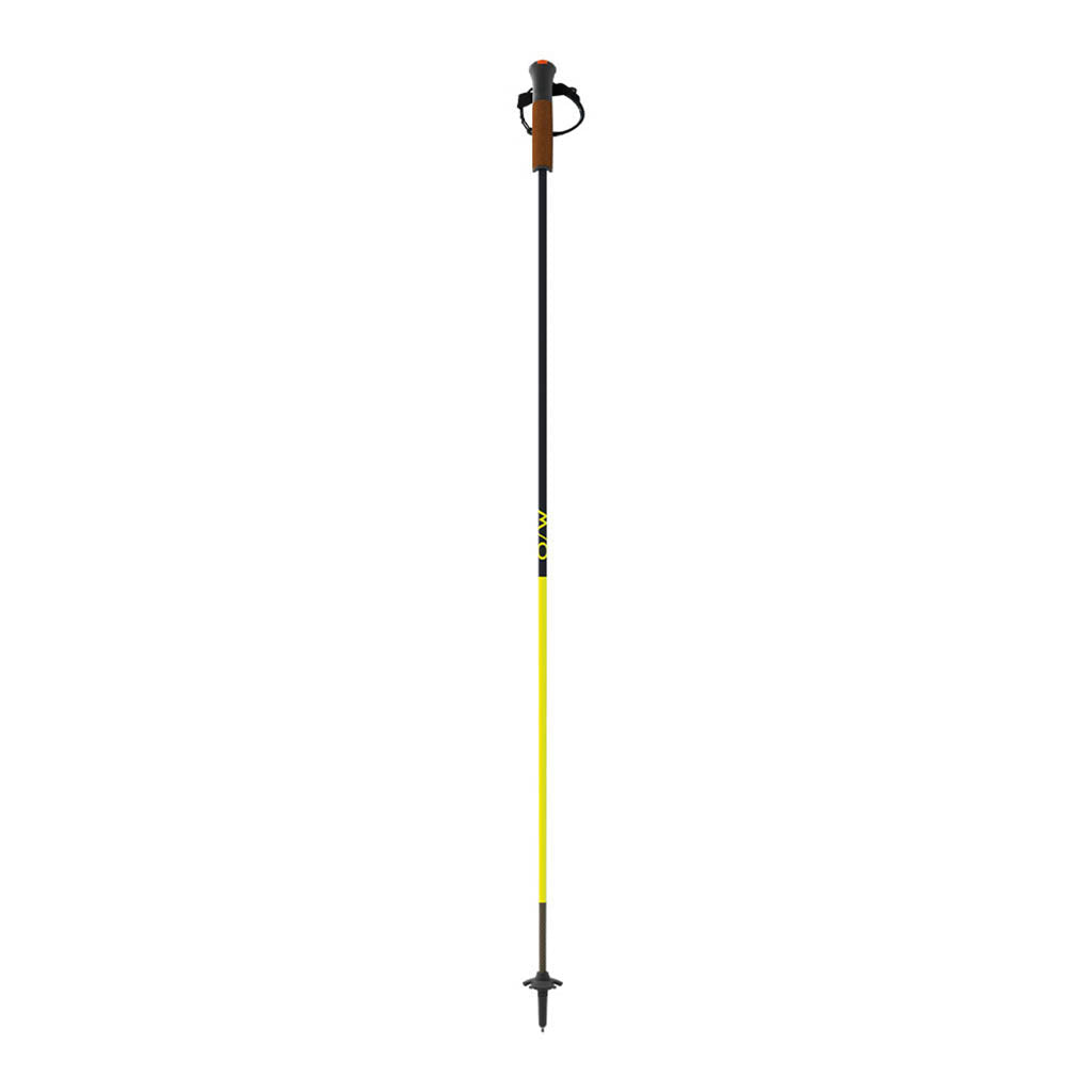 GT 11 Carbon Mag - Ski Poles