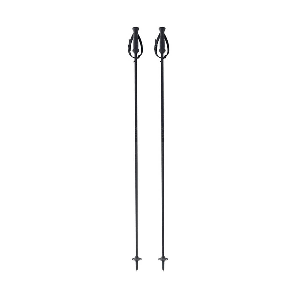 GT 13 Carbon - Ski Poles