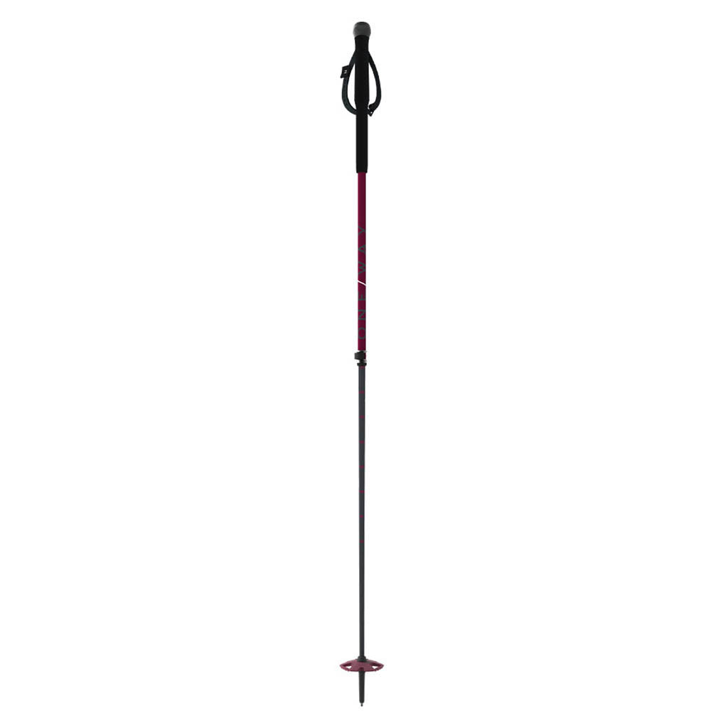 TR Vario - Ski Poles