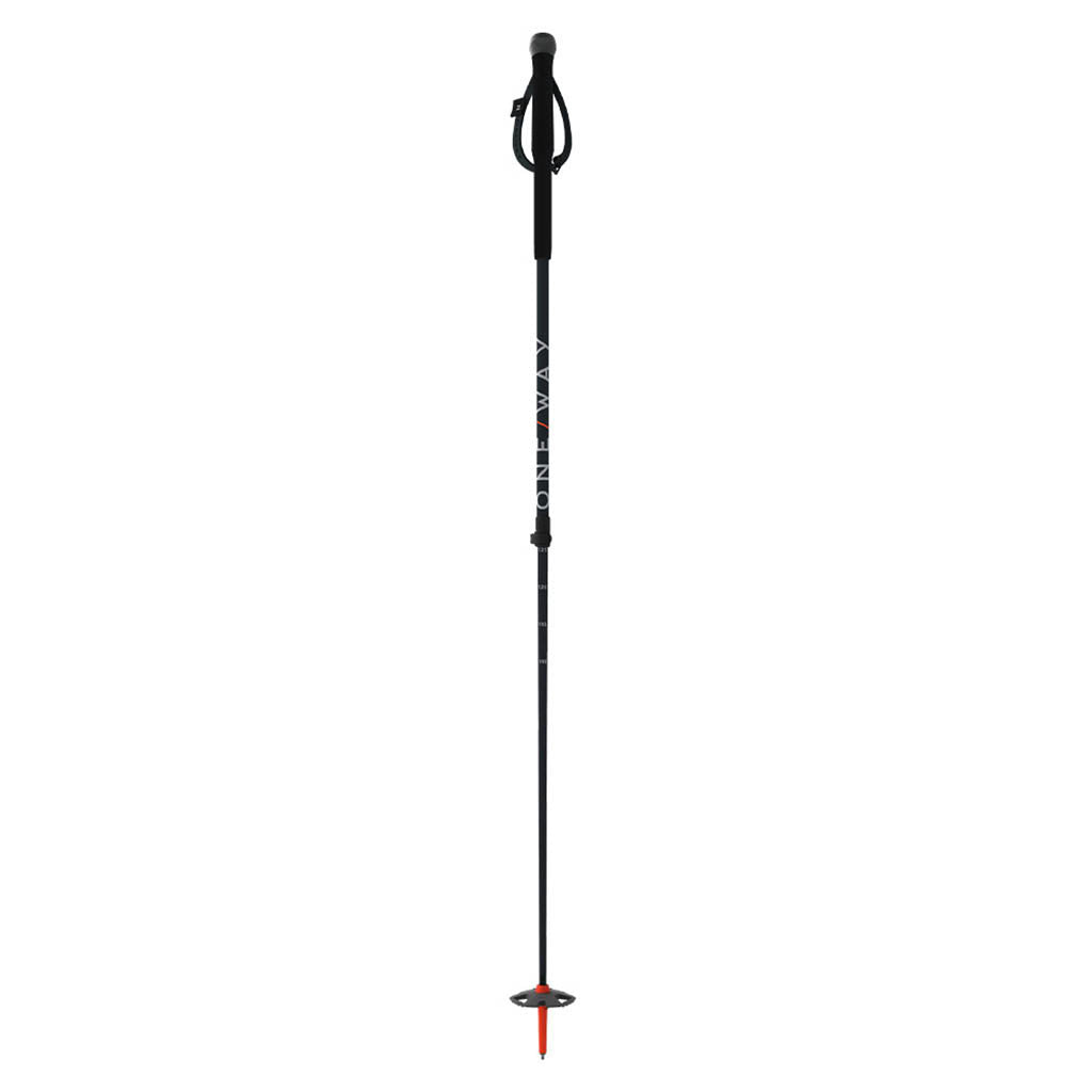 TR Vario 2 - Ski Poles