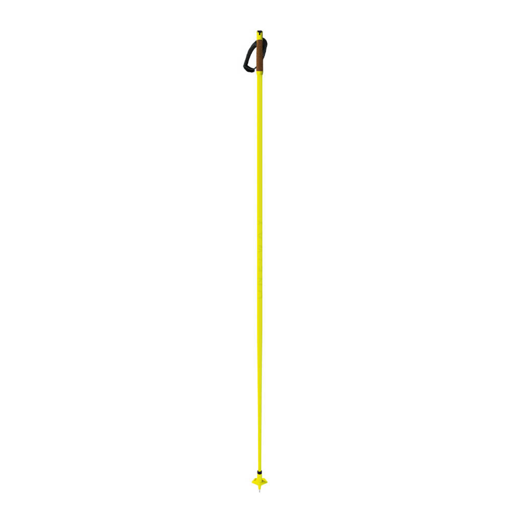 Storm GTX - Cross Country Poles