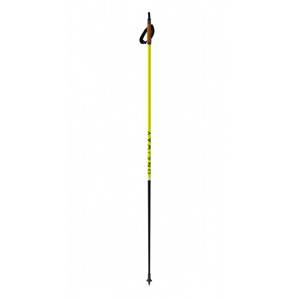 Storm 2 Street Kit 100% Carbon - Ski Poles