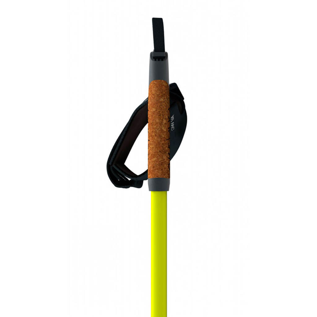 Storm 2 Street Kit 100% Carbon - Ski Poles