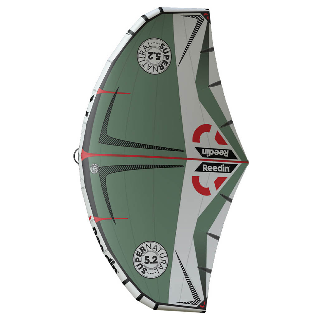 Supernatural - Wing