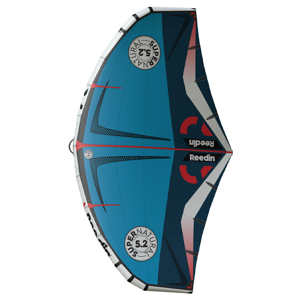 Supernatural - Wing