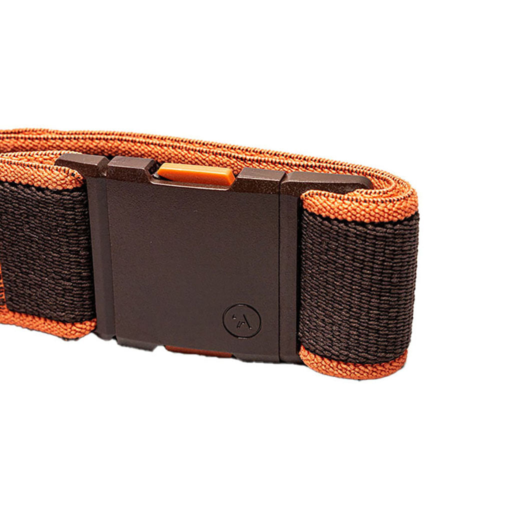 Carto - Belt
